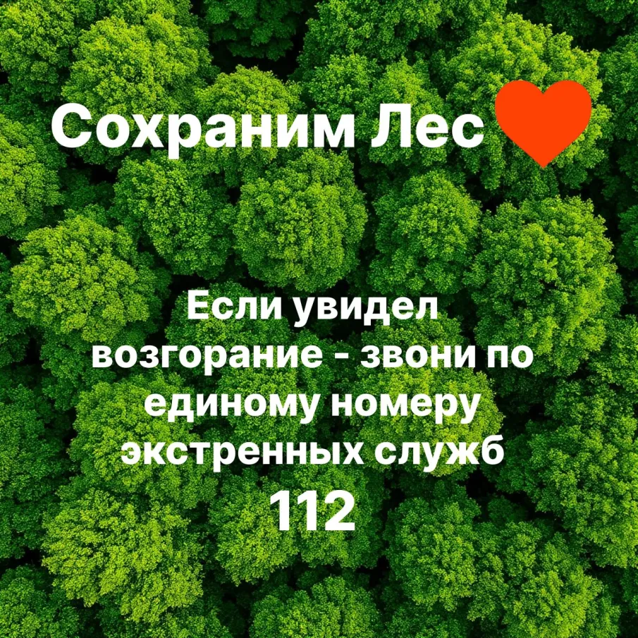 С 30 июня по 6 июля 2026 г. местами по Нижегородской области ожидается высокая (4 класс) пожароопасность лесов и  торфяников